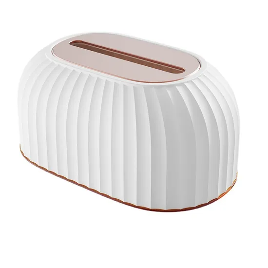 Automatic Lifting Plastic Tissue Paper Box for Home Use 